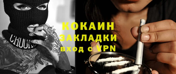 индика Абинск