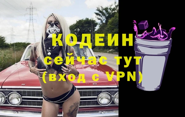 индика Абинск