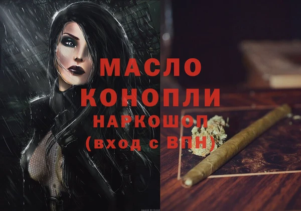 индика Абинск