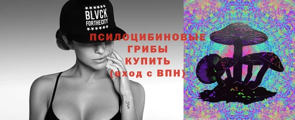 прущая мука Абаза