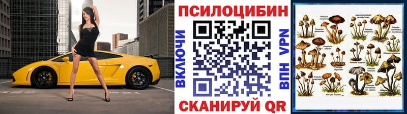 Галлюциногенные грибы MAGIC MUSHROOMS  дарк нет Telegram  Тарко-Сале  магазин продажи  